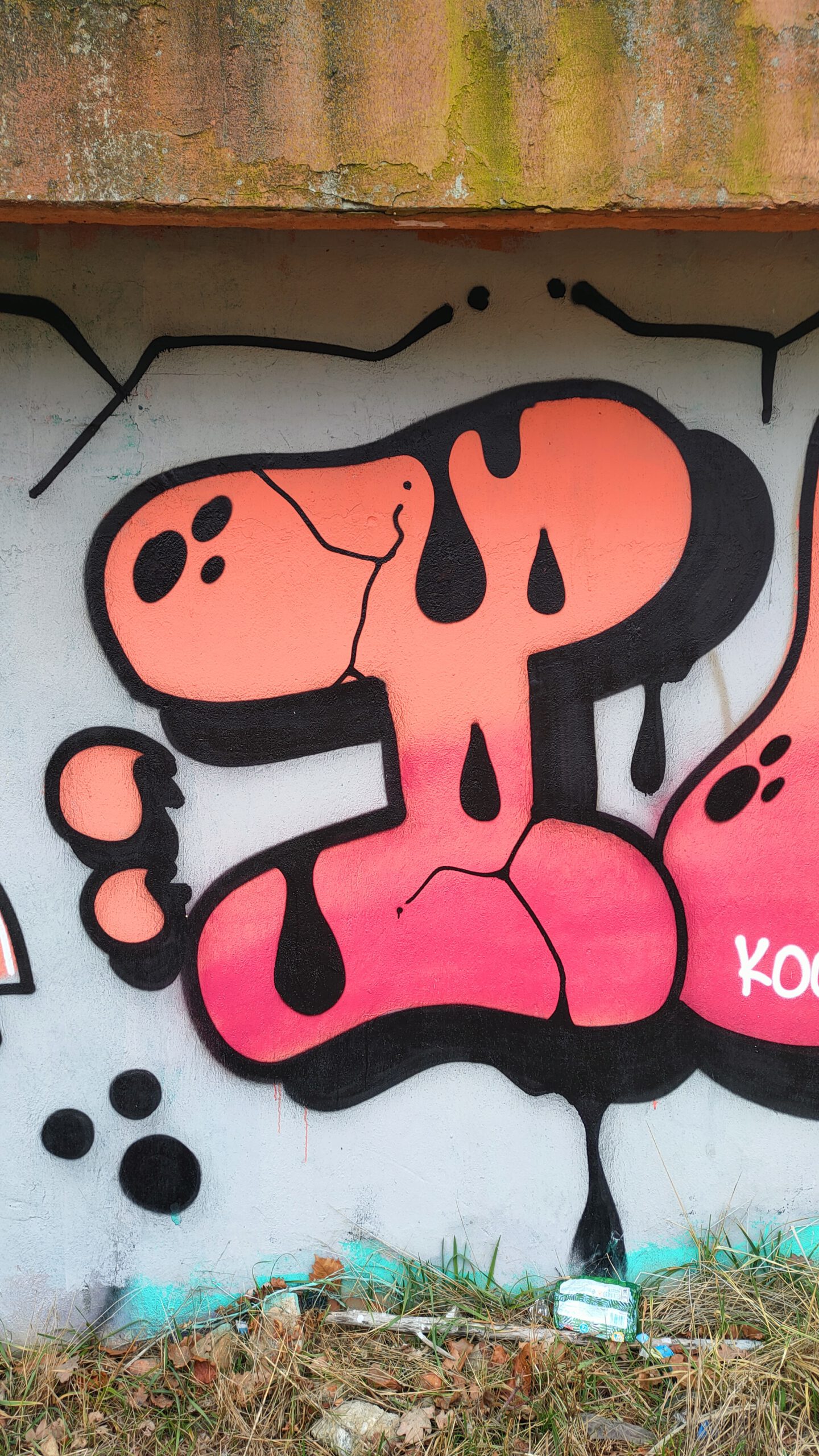 Frywolne graffiti niedaleko Francuskiej